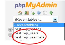 phpAdmin-database-screen2