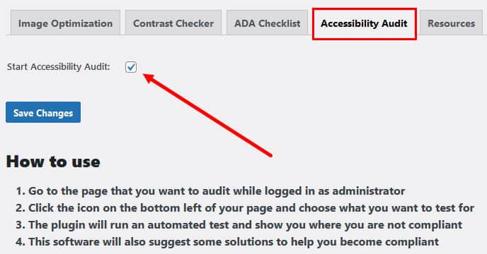Screenshot of Accessibility Tools Plugin Accessibility Audit Tab
